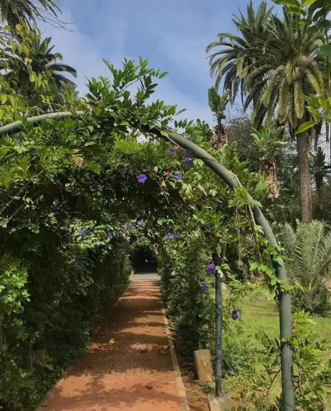 Botanical Test Garden