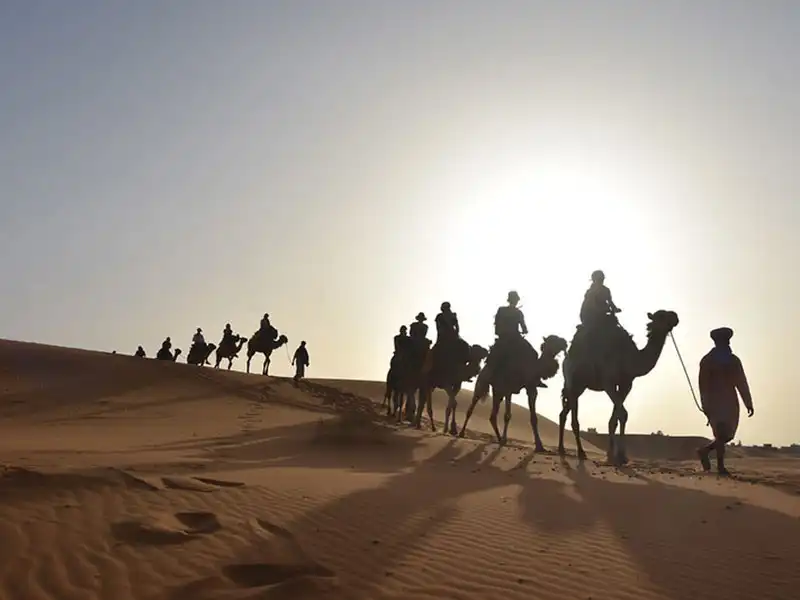 best-of-south-morocco-desert-camel-ride