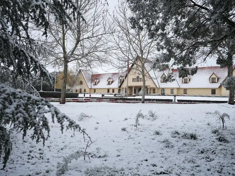 imperial-cities-and-southern-morocco-tours-ifrane