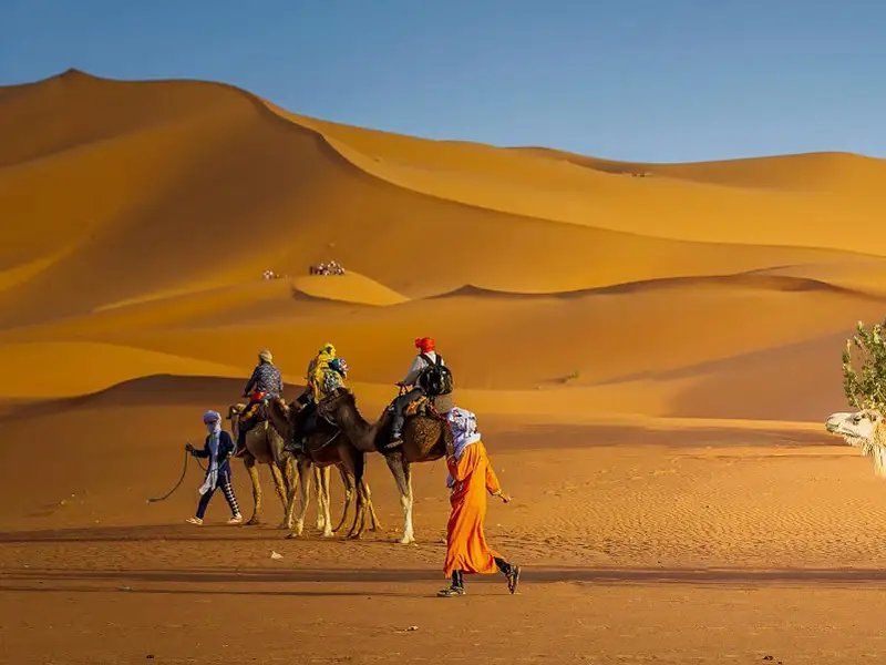 merzouga-camel-trek