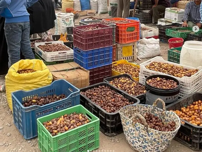 rissan-market