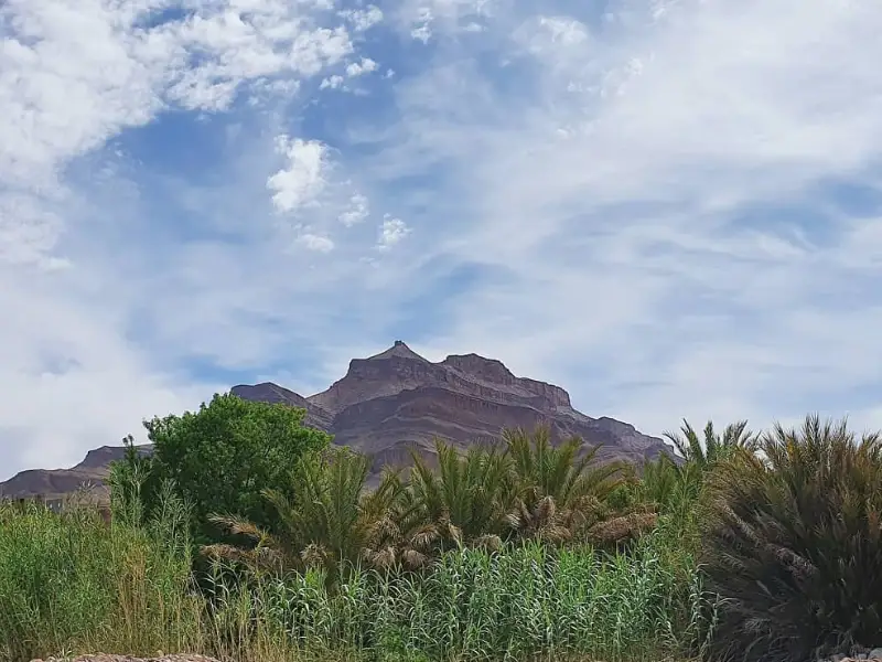 the-great-south-of-morocco-tour-draa-valley